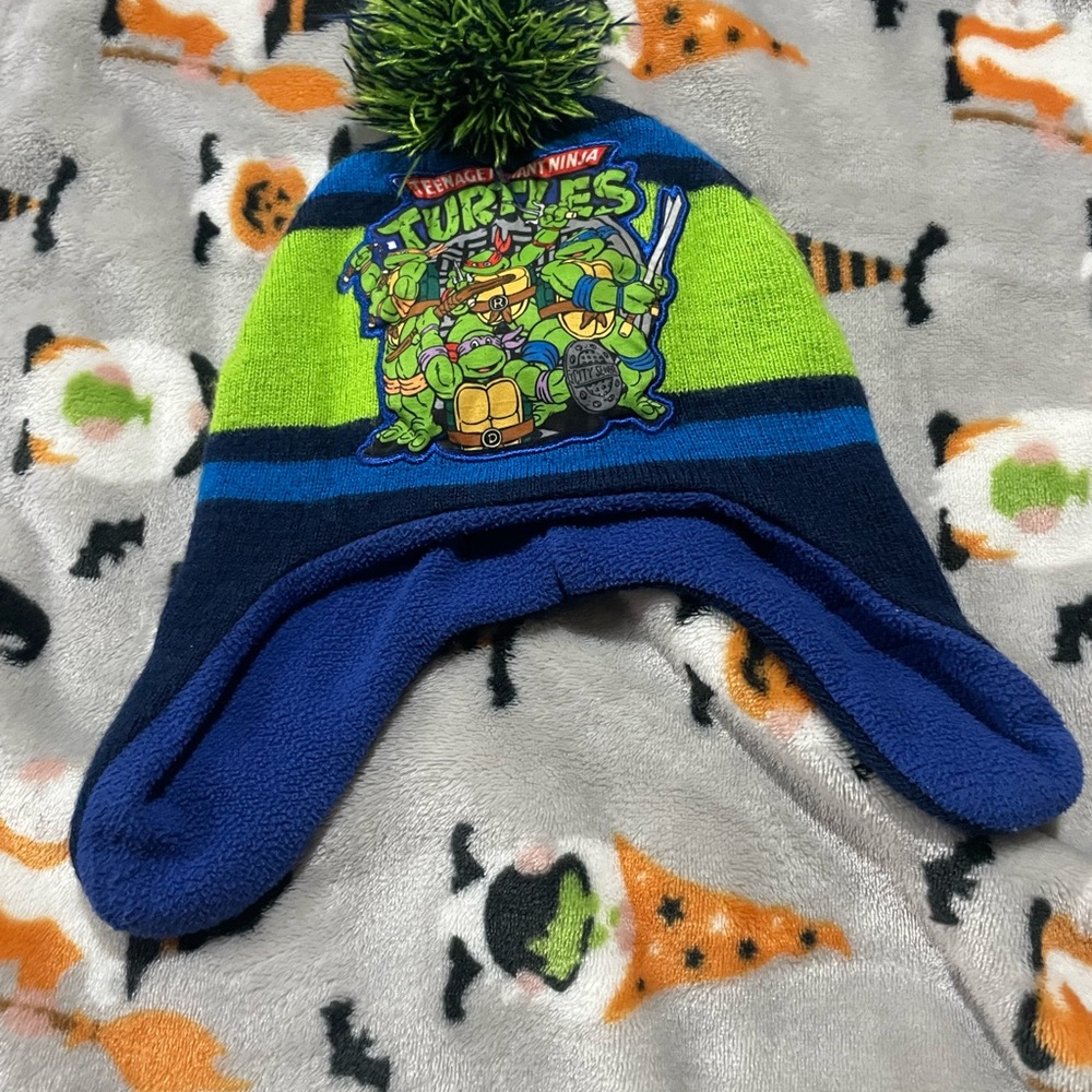 Teenage Mutant Ninja Turtles Green and Blue Beanie